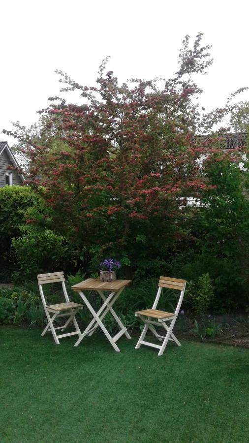 B&B Witvliet, Kamers En Studio Met Heerlijk Ontbijt ! เซาเตอลองเดอ ภายนอก รูปภาพ
